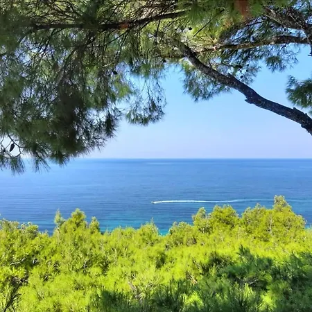 펜션 Sani Gallery Villa, Your Next Family Vacation!