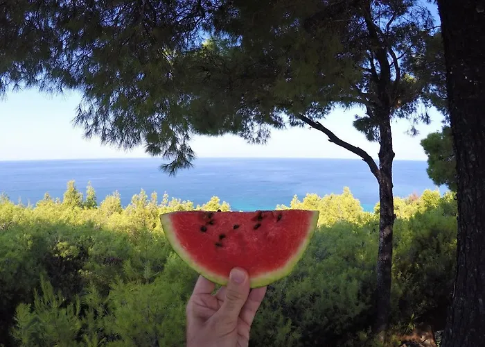 Sani Gallery Villa, Your Next Family Vacation! *